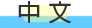中文